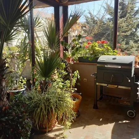 Guest house дар